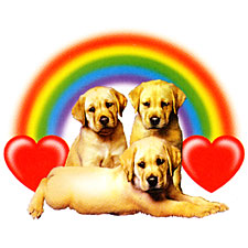 Rainbows and Puppy Dogs 2